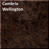 Cambria Wellington